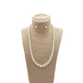 Colección Dama de Perlas
